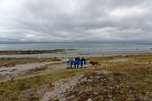 Am Strand von Kérity