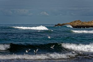 Wo es ordentlich an den Strand brandet sind Surfer nicht weit