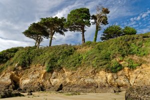 Westlich von Douarnenez, am Plage de Pors Peron