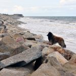 Juno Beach - hier landeten am D-Day die kanadischen Truppen.