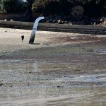 Am Strand von Carantec bei Ebbe. @ Klaus W. Schmidt