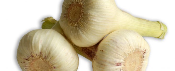 Knoblauch, Gruppe