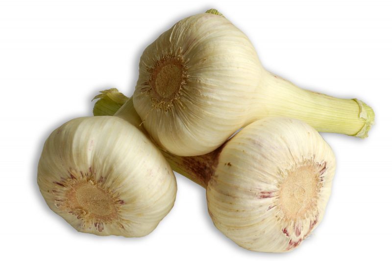 Knoblauch, Gruppe