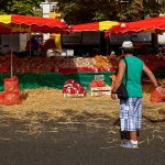 Verkaufsstände mit Zwiebeln sind selten