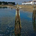 Das Salzwasser und die Muscheln nagen