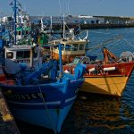 Fischtrawler im Päckchen festgemacht