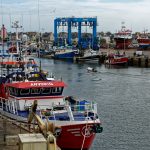 Im Hafen von Le Guilvinec als einem der größten und wichtigsten Fischereihäfen der Bretagne ist ordentlich was los