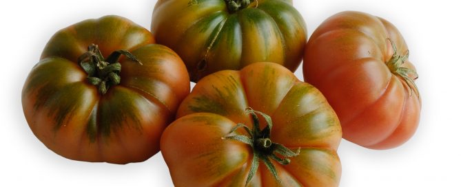 Gerippte Tomaten, eine Sorte aus der großen Familie der Tomate