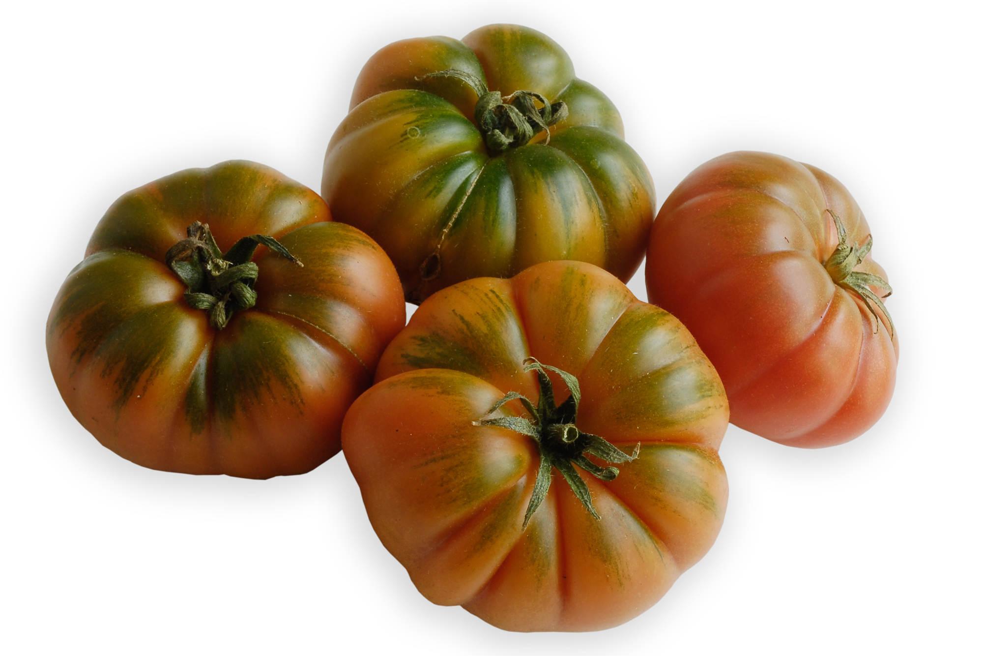 Gerippte Tomaten, eine Sorte aus der großen Familie der Tomate