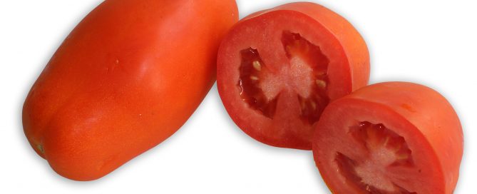 San-Marzano-Tomate, auch Flaschentomate genannt, eine Sorte aus der großen Familie der Tomate