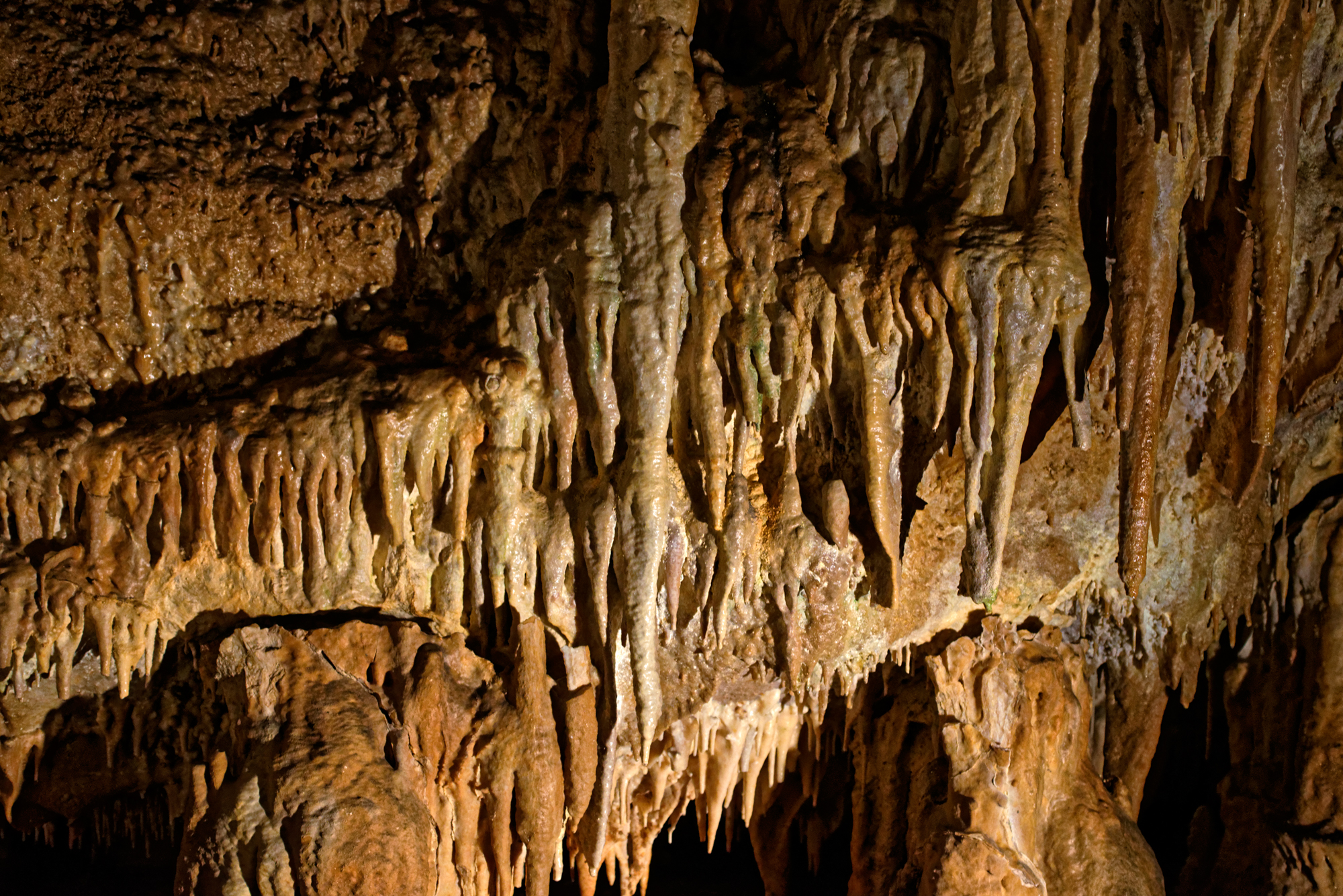 In der Grotte